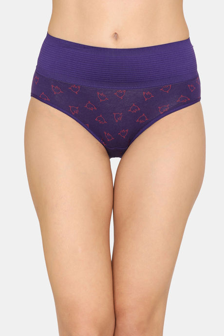 Zivame Anti-Microbial High Rise Full Coverage Tummy Tucker Hipster Panty (Pack of 2) - Multicolor — image 6